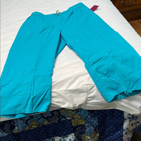 Blue Capri Pants - Picture 7 of 8